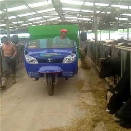 高效畜牧養(yǎng)殖利器 撒料車(chē)與TMR攪拌車(chē)如何顯著降低飼料成本