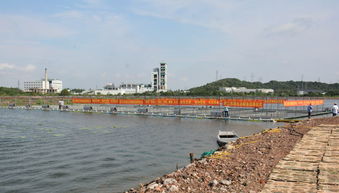 創(chuàng)新養(yǎng)殖模式 720畝鱖魚全飼料跑道養(yǎng)殖基地引關(guān)注