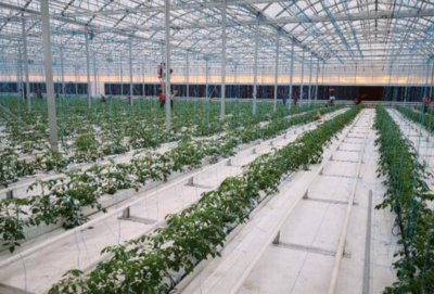 智慧農業五大應用場景 畜牧漁業與飼料的數字化變革